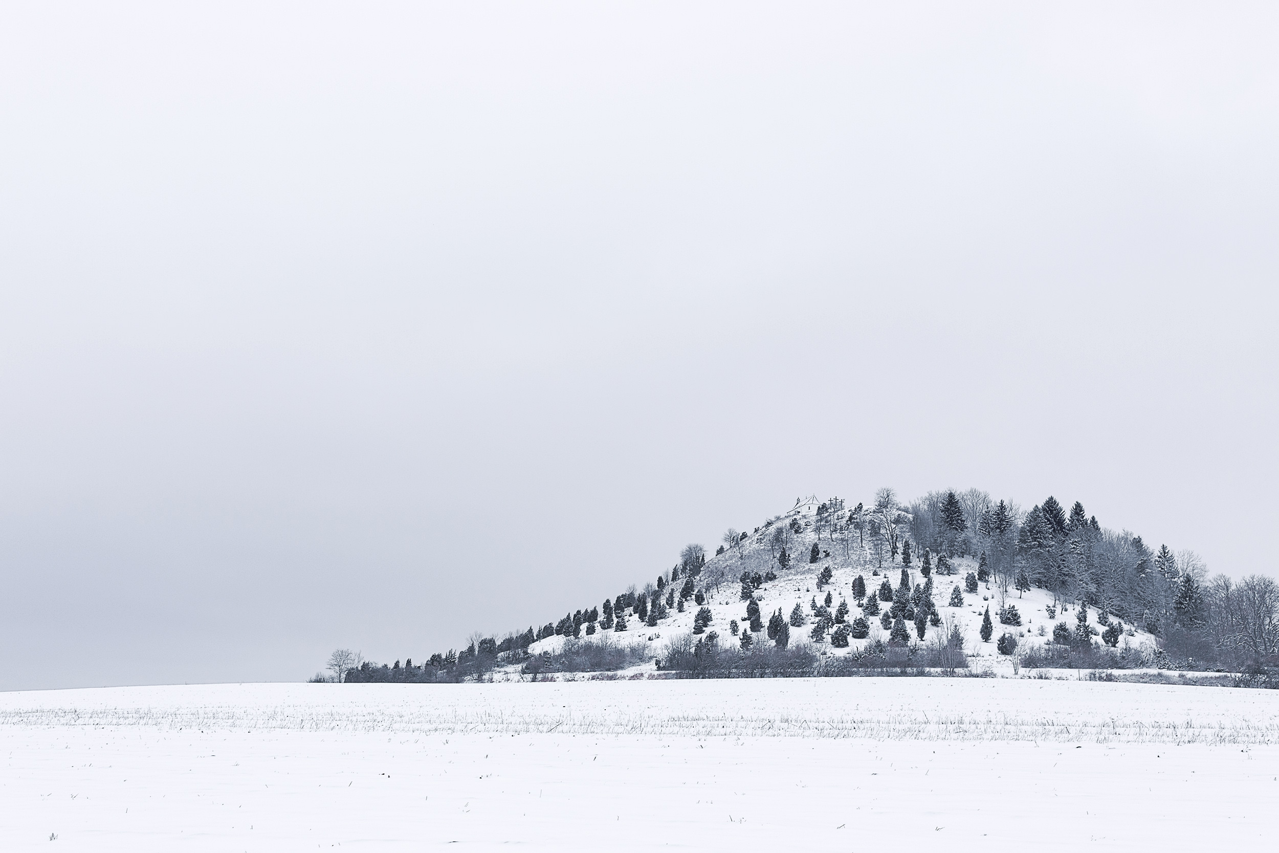 Der Kornbühl mit der Salmendinger Kapelle im Schnee