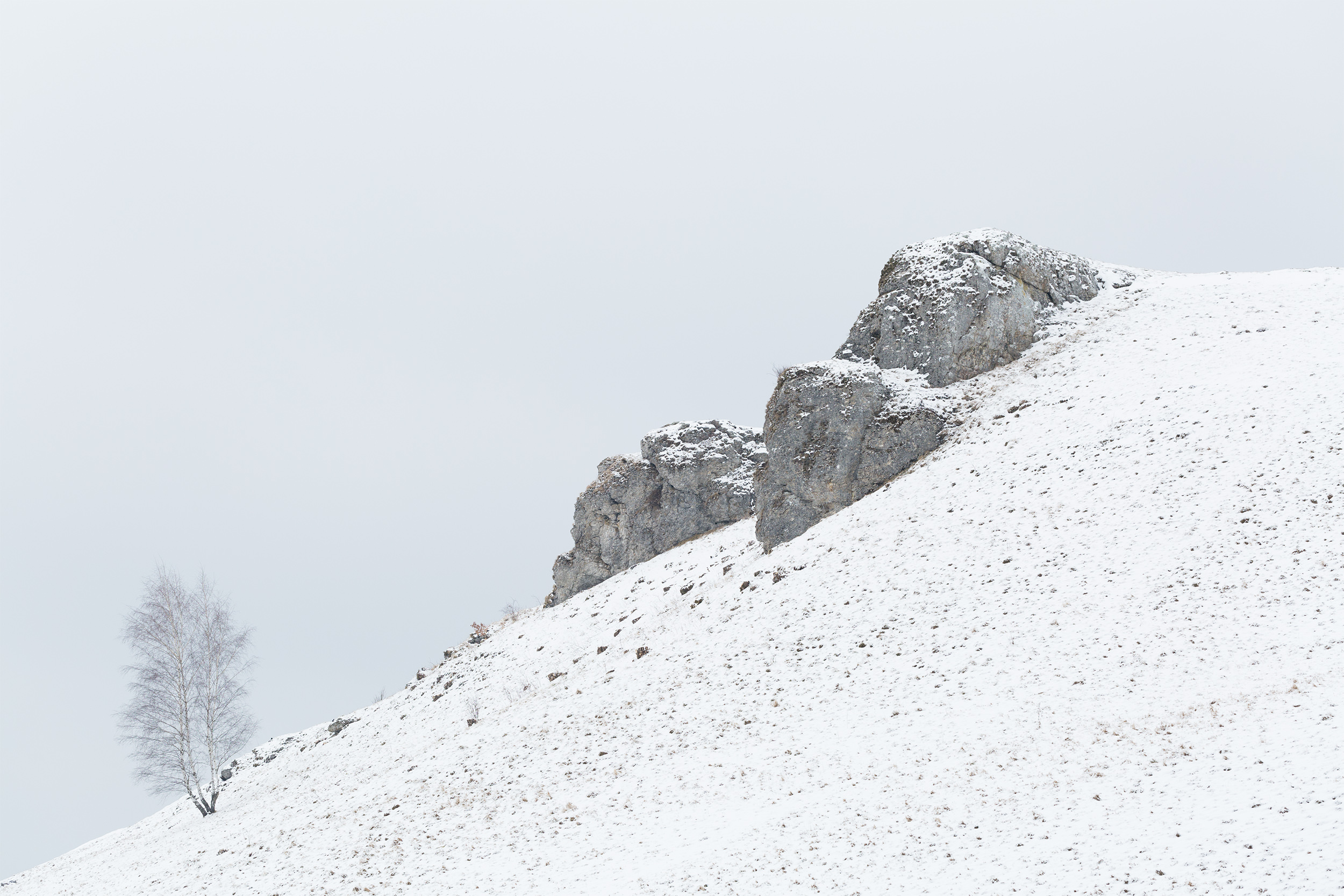 Kalksteinfelsen bei Sonnenbühl-Undingen im Schnee.