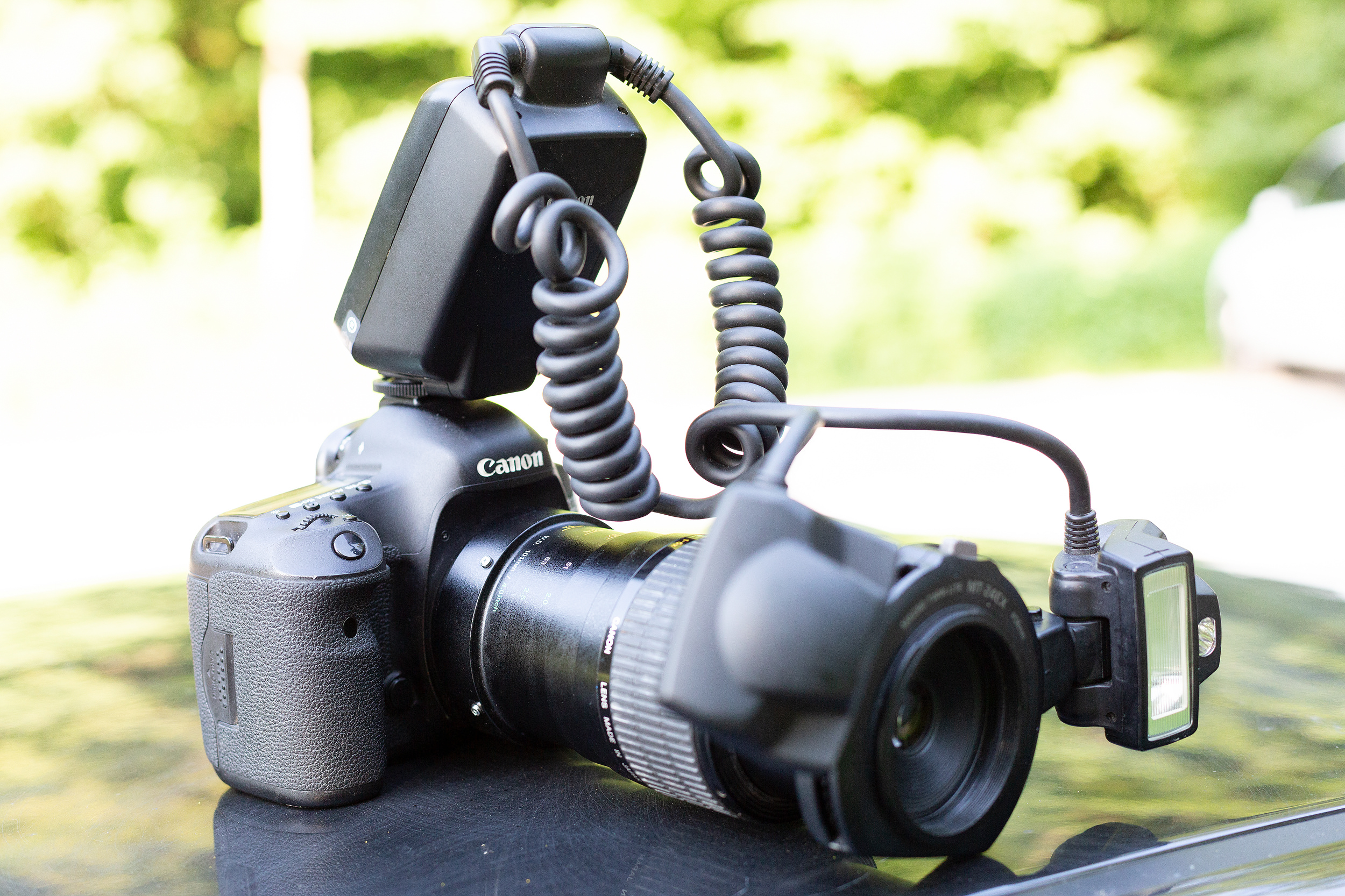 Canon EOS 5D Mark III mit mp-e 65mm Lupenobjektiv und MT-24EX Zangenblitz.